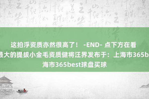 这拍浮资质亦然很高了！ -END- 点下方在看 即是对咱们最大的提拔小金毛资质健将汪界发布于：上海市365best球盘买球