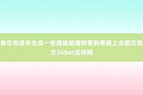 會在旁邊多生成一些纖維組織附著到骨頭上去固定我方36bet买球网