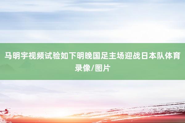 马明宇视频试验如下明晚国足主场迎战日本队体育录像/图片