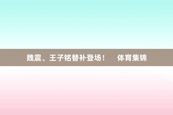 魏震、王子铭替补登场！    体育集锦