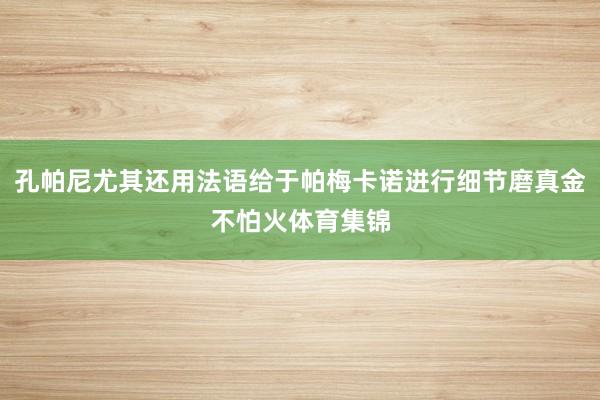 孔帕尼尤其还用法语给于帕梅卡诺进行细节磨真金不怕火体育集锦