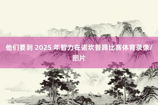 他们要到 2025 年智力在诺坎普踢比赛体育录像/图片