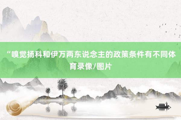 “嗅觉扬科和伊万两东说念主的政策条件有不同体育录像/图片