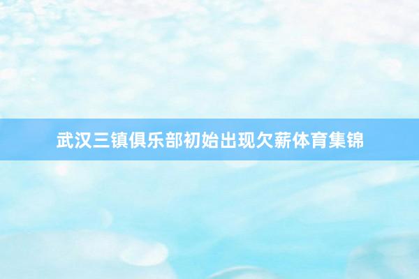 武汉三镇俱乐部初始出现欠薪体育集锦