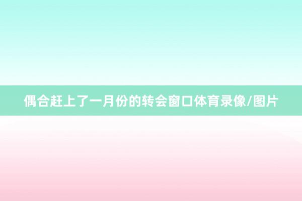 偶合赶上了一月份的转会窗口体育录像/图片