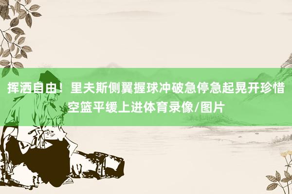 挥洒自由！里夫斯侧翼握球冲破急停急起晃开珍惜空篮平缓上进体育录像/图片