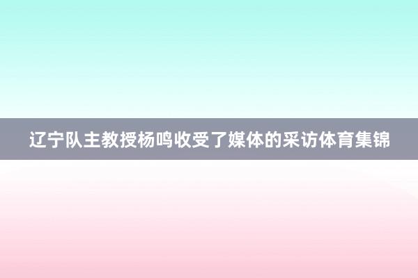 辽宁队主教授杨鸣收受了媒体的采访体育集锦