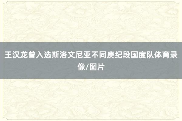 王汉龙曾入选斯洛文尼亚不同庚纪段国度队体育录像/图片