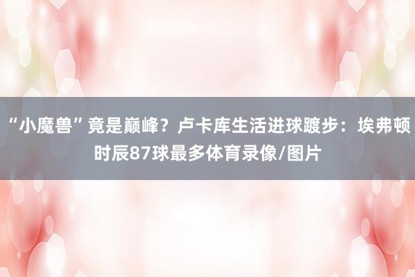 “小魔兽”竟是巅峰？卢卡库生活进球踱步：埃弗顿时辰87球最多体育录像/图片